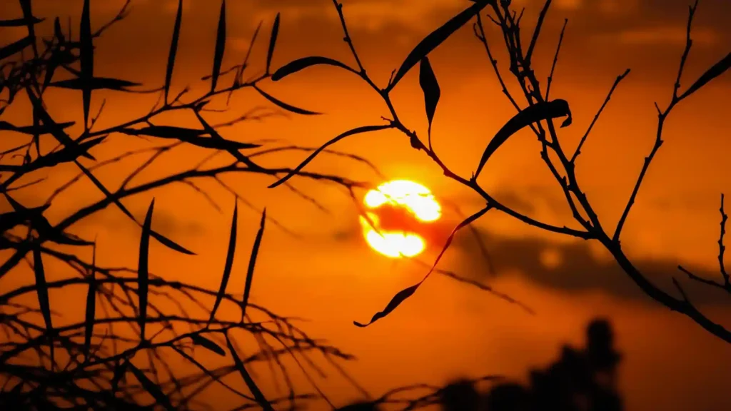 Hochsensibilität: Wenn das Wetter unter die Haut geht, Sonnenuntergang
