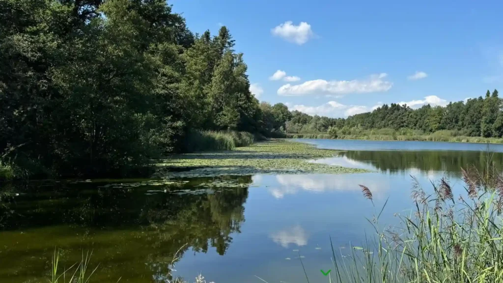 Was mein Pferd mir über Präsenz beibrachte, Seelandschaft