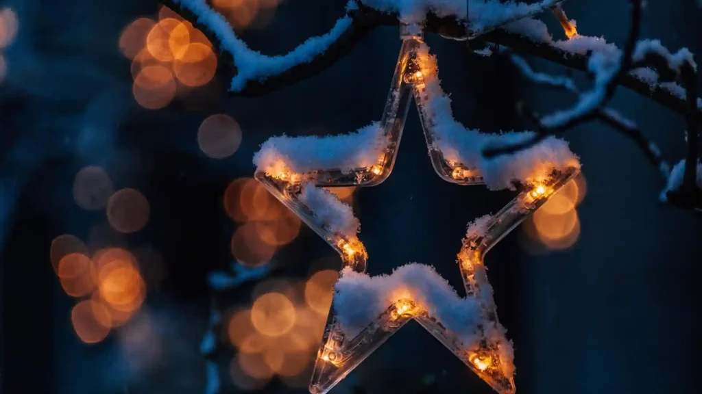Hochsensibel durch die Feiertage, Weihnachtsstern mit Schnee