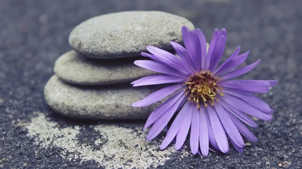 Warum die STILLE STUNDE für sensible Menschen so wichtig ist, Steine mit Blume