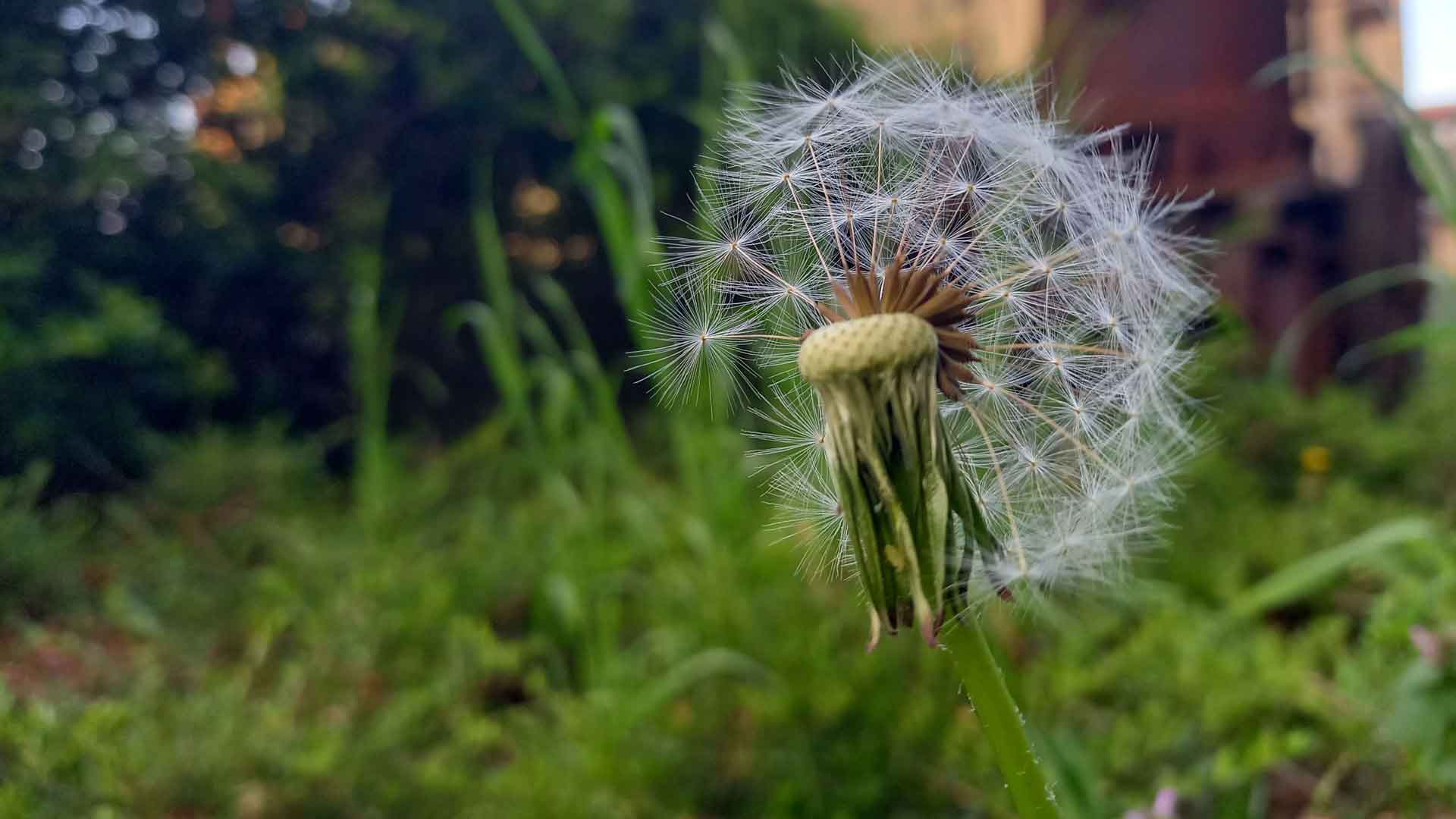 Heilsames Erinnern für Hochsensible, Beitragsbild