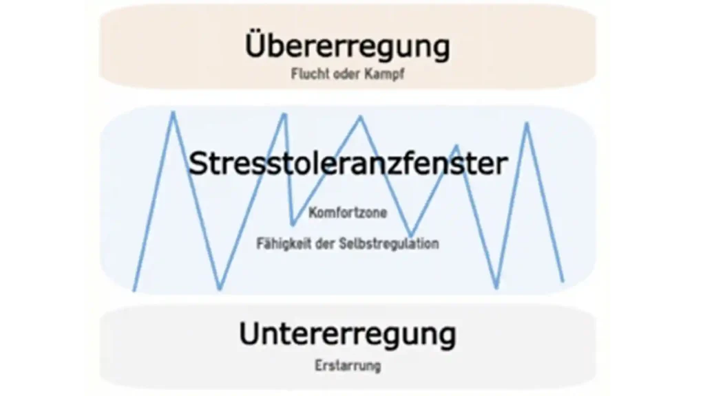 Wie kann ich ein Trauma von Hochsensibilität unterscheiden? Grafik Übererregung-Untererregung