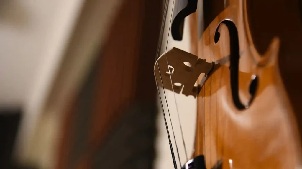 Warum Musik und Gesang für Hochsensible wichtig sind, Violine