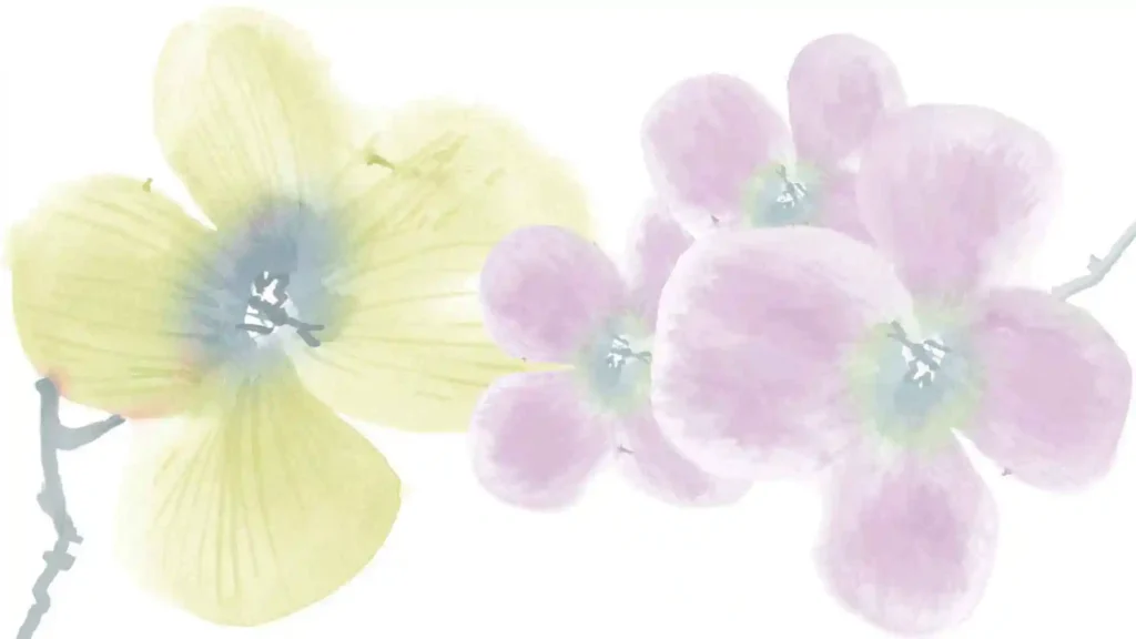 Ein Liebeslied für den hochsensitiven Körper, Aquarell Blumen
